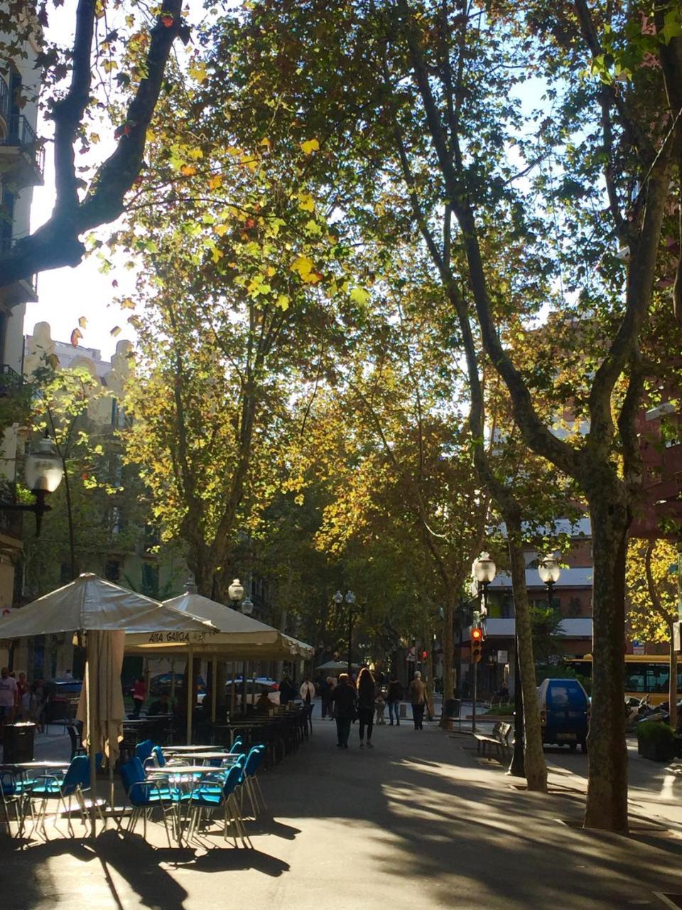 Apartament Charm Miro Barcelona Zewnętrze zdjęcie